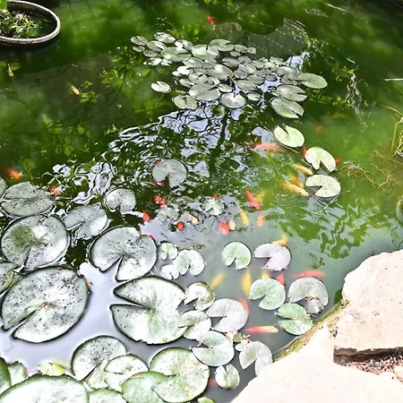 Daire Izzhome Paradise *