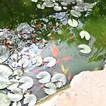 Izzhome Paradise * Пула