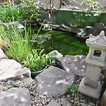 Izzhome Paradise