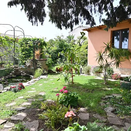 Izzhome Paradise *